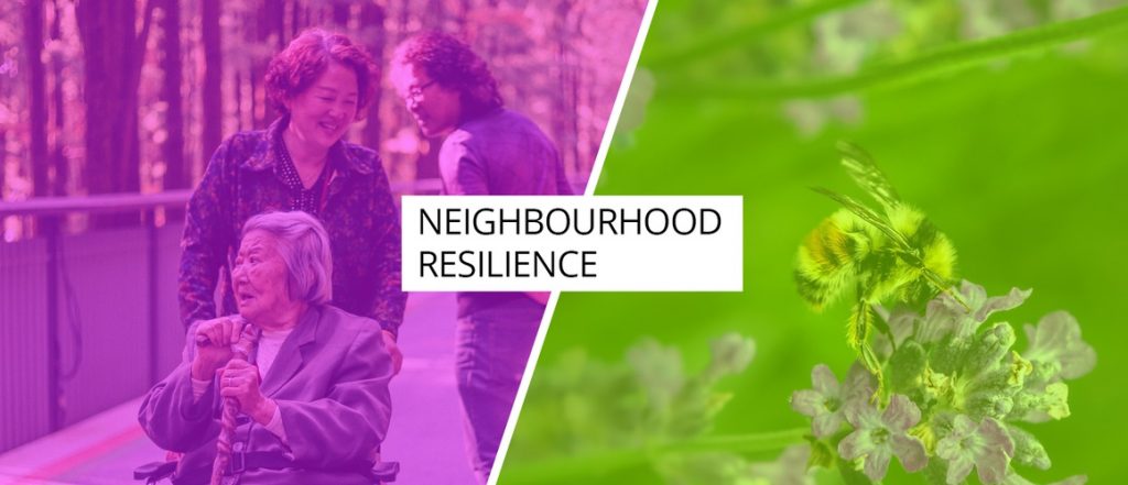 LIVECAST Series: Designing for Neighborhood Resilience