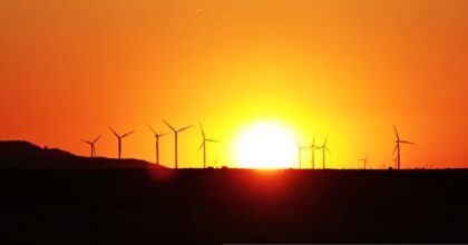 Energy Ecologies